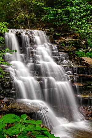 2012-05-26_DSC2780