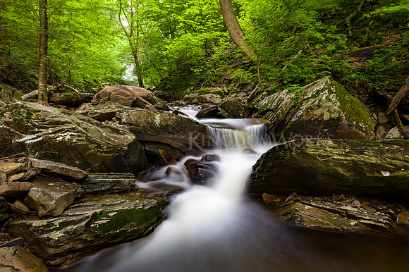 2012-05-26_DSC2799