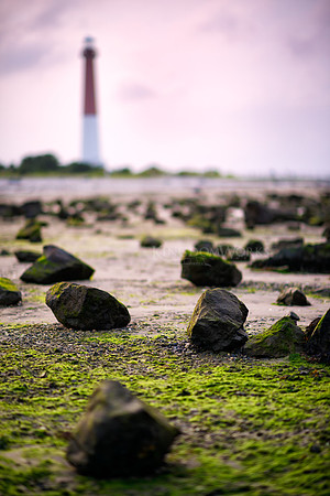 2012-09-08_KWM1847 (1)